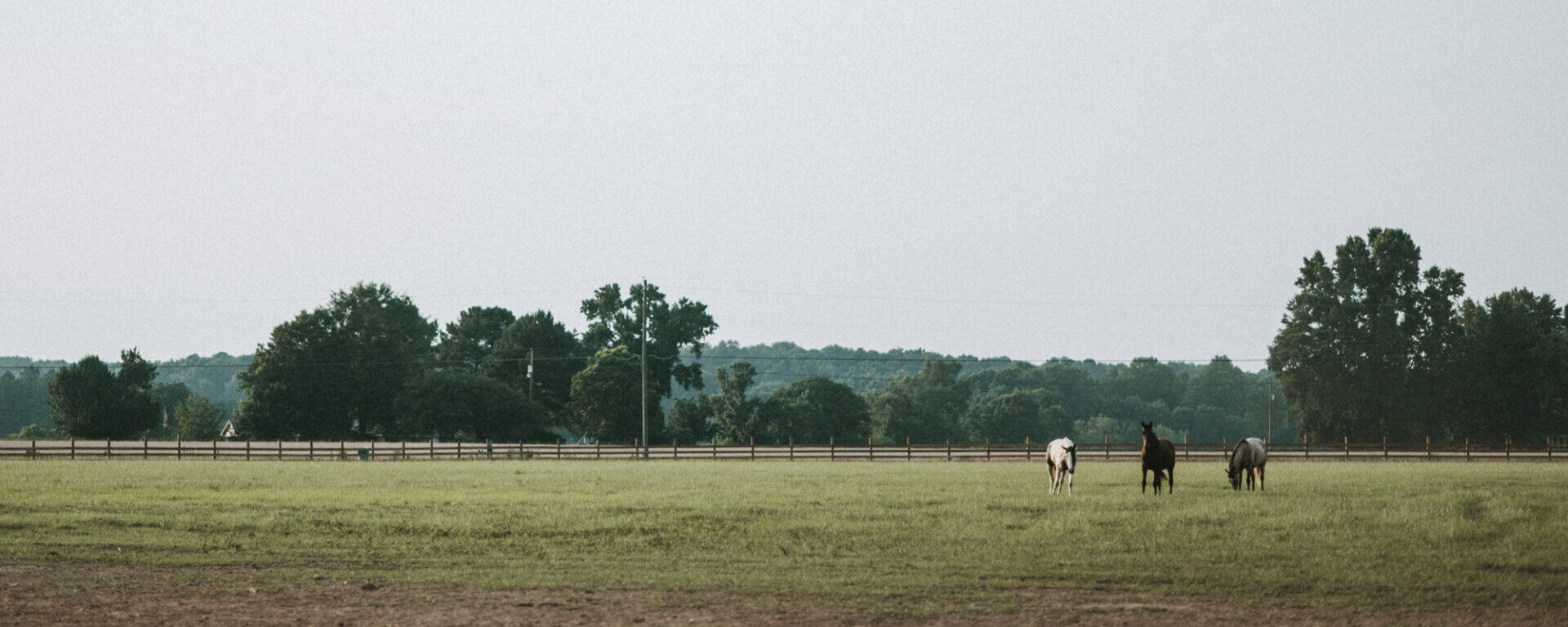 Carpenterfarms6122022 5 2000x800