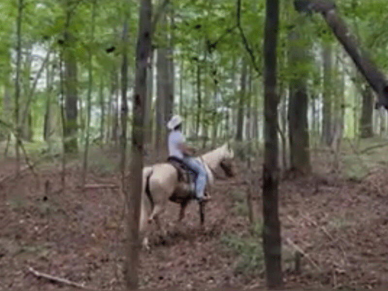 Trail System at Carpenter Farms