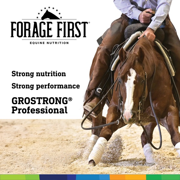 558836287 1257611606169363 9051427757986808322 N