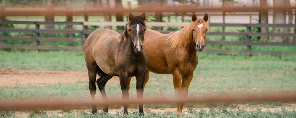 Farmjune2025 88 Farmjune2025 88