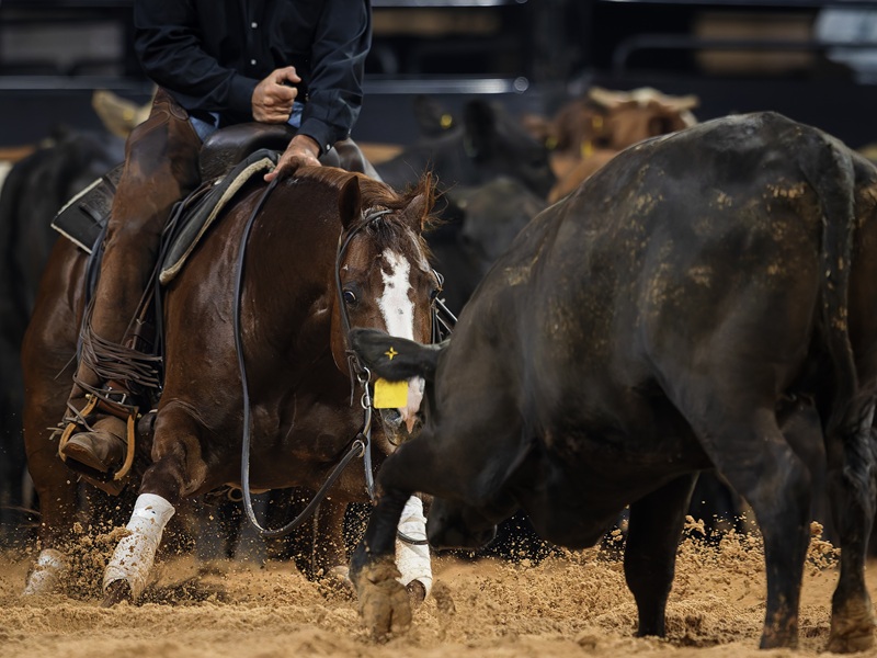 Lbr Hangem Taph 202510