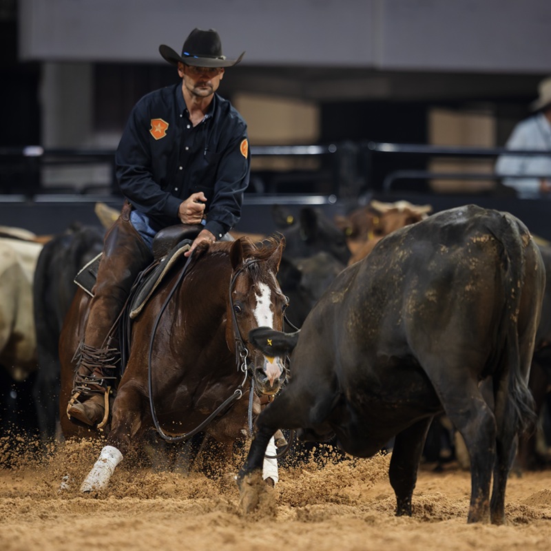 Lbr Hangem Taph 20259nws