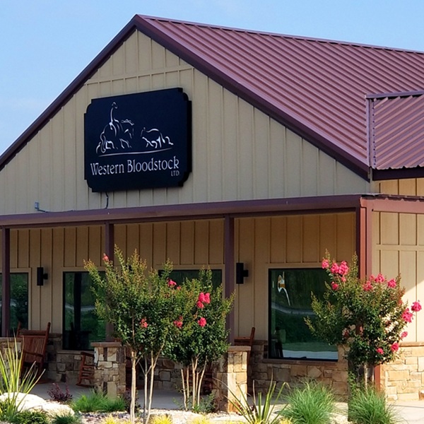 Western Copy Primary